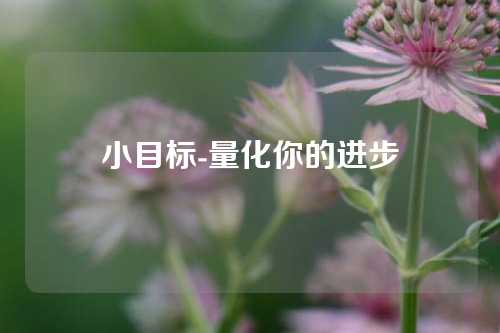 小目标-量化你的进步